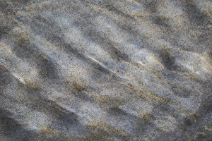 North Sea Sandy Shores Impressions: Sand pattern