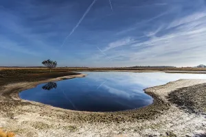 Wetland Landscape Germany Impressions: Solitaire tree at the field