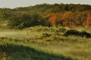 Texel Landscape Impressions: Texel