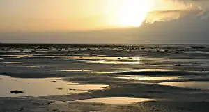 Netherlands Coast Impressions: Waddenzee, Waddensea