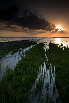 Dutch Coast Scenery Impressions: Waddenzee, Waddensea