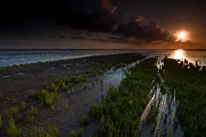 Wadden Sea Nature Reserve Impressions: Waddenzee, Waddensea
