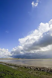 Dutch Coastline Scenery Impressions: Westerschelde