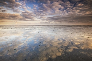 Low Tide Mudflats Europe Impressions: the Wierumerwad