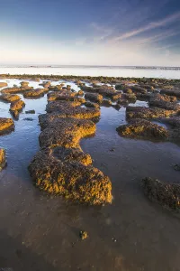 Wadden Sea Coastline Impressions: Wierumerwad, Waddenzee