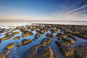 Impression encadrée : Wierumerwad, Waddenzee Impression encadrée : Wierumerwad, Waddenzee