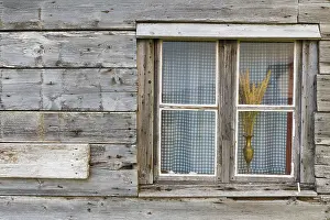 Window