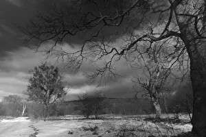 Black And White Winter Landscape Impressions: Winter