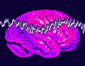 Human Brain Illustration Impressions: Brainwaves