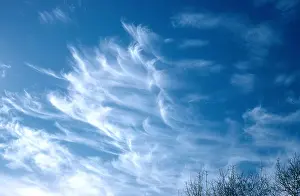 Cirrus Clouds Impressions: Cirrus Cloud