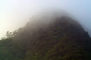 Cloud Forest Panama Impressions: Cloud Forest