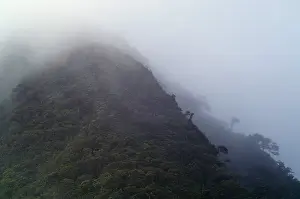 Central America Nature Impressions: Cloud Forest