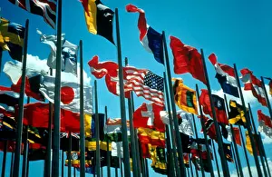 International Flags Impressions: Flags of the World