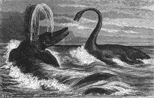 Paleontology Illustrations Impressions: Ichthyosaurus and Plesiosaurus