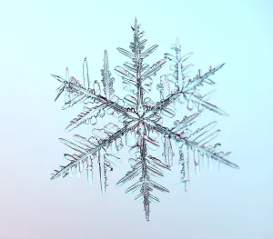 Impression encadrée : Fleur de Neige sous le Microscope. Impression encadrée : Fleur de Neige sous le Microscope.