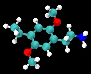 Molecular Model Impressions: Molecular Model of 2C-E