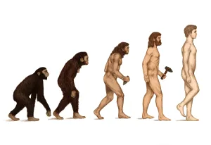 Lévolution humaine.