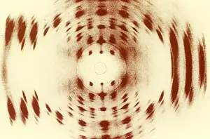 Deoxyribonucleic Acid Image Impressions: X-ray Diffraction